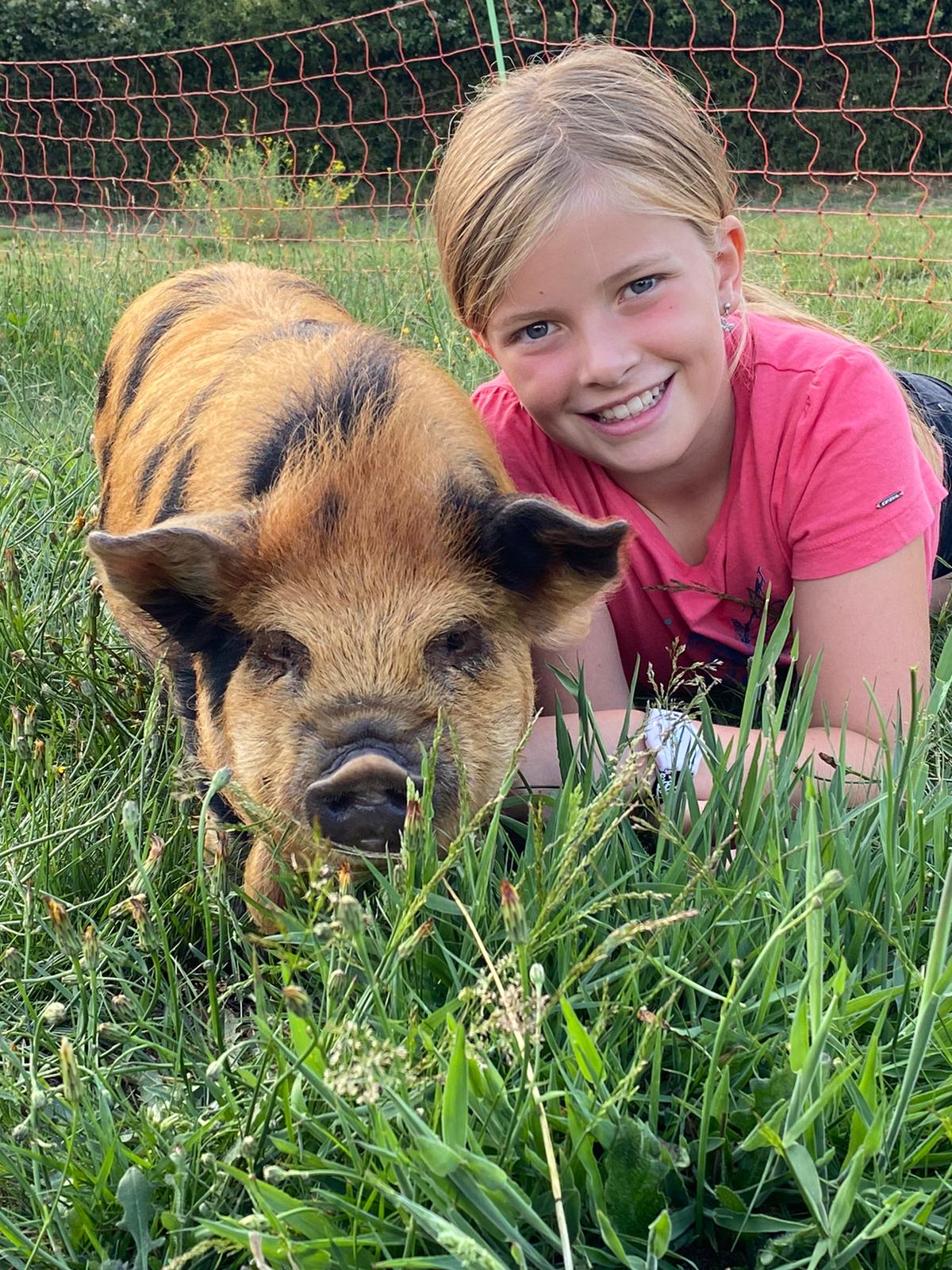 Kune kune